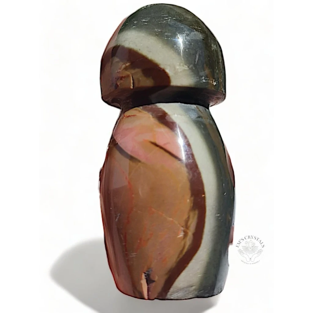 JASPIS POLYCHROM houba 105g  č.4