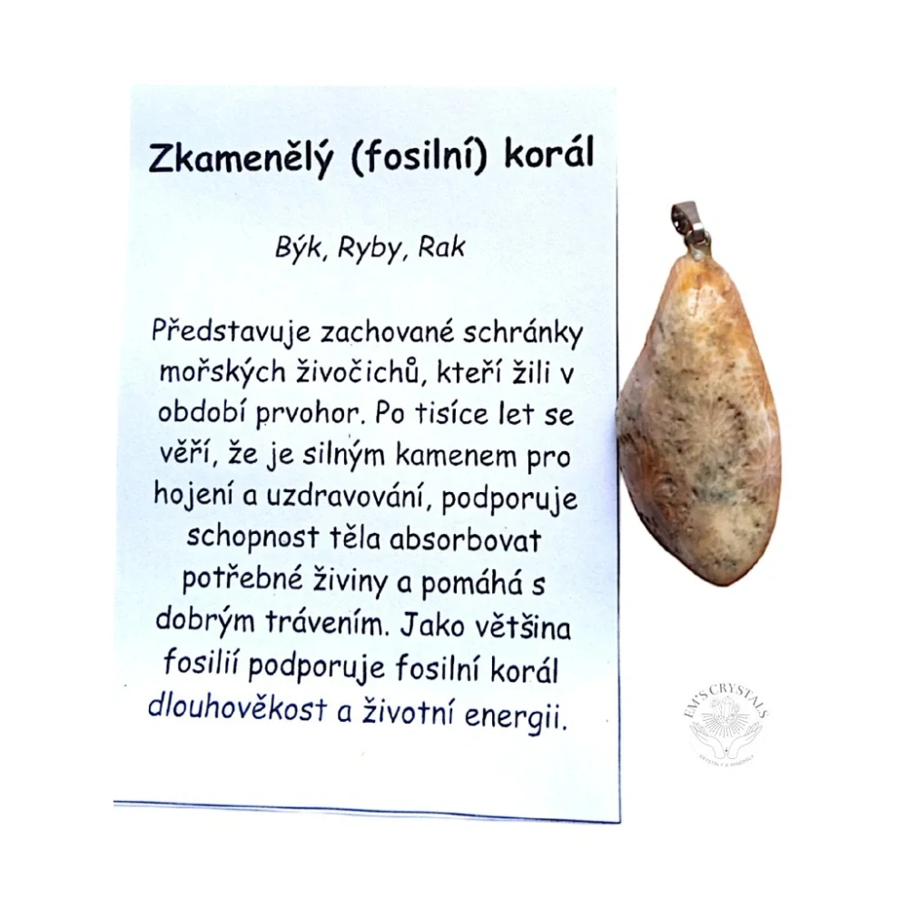 ZKAMENĚLÝ KORÁL  přívěsek