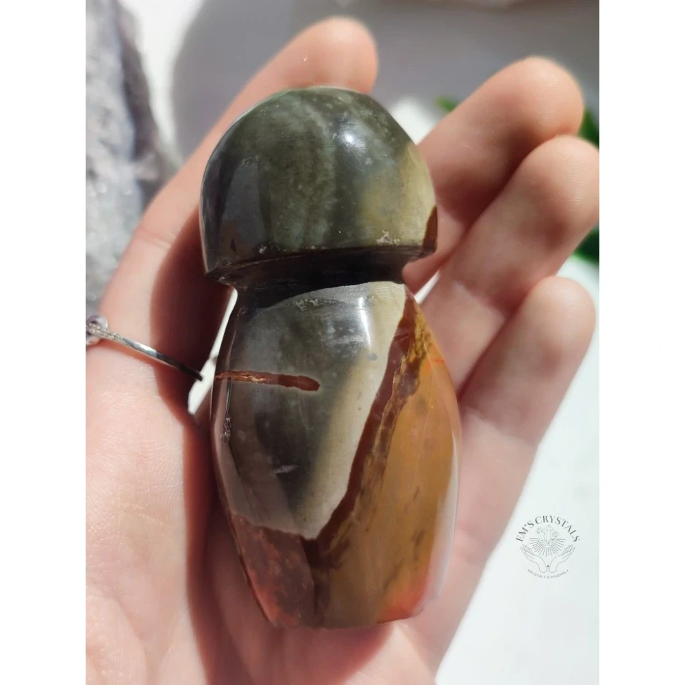 JASPIS POLYCHROM houba 105g  č.4