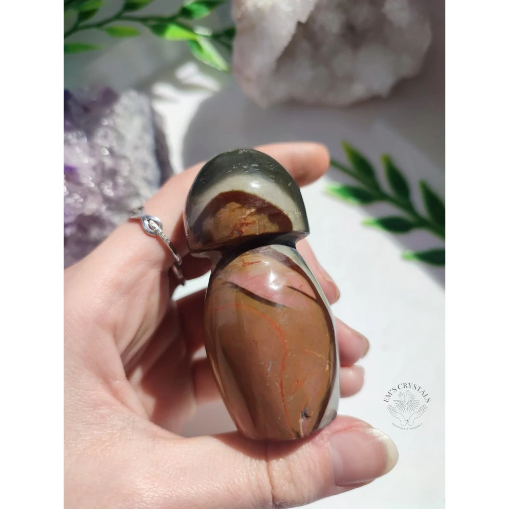 JASPIS POLYCHROM houba 105g  č.4