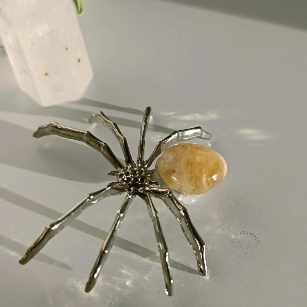 Pavouček 5,5cm